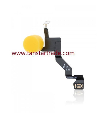 Nappe flash arrière pour iPhone 13